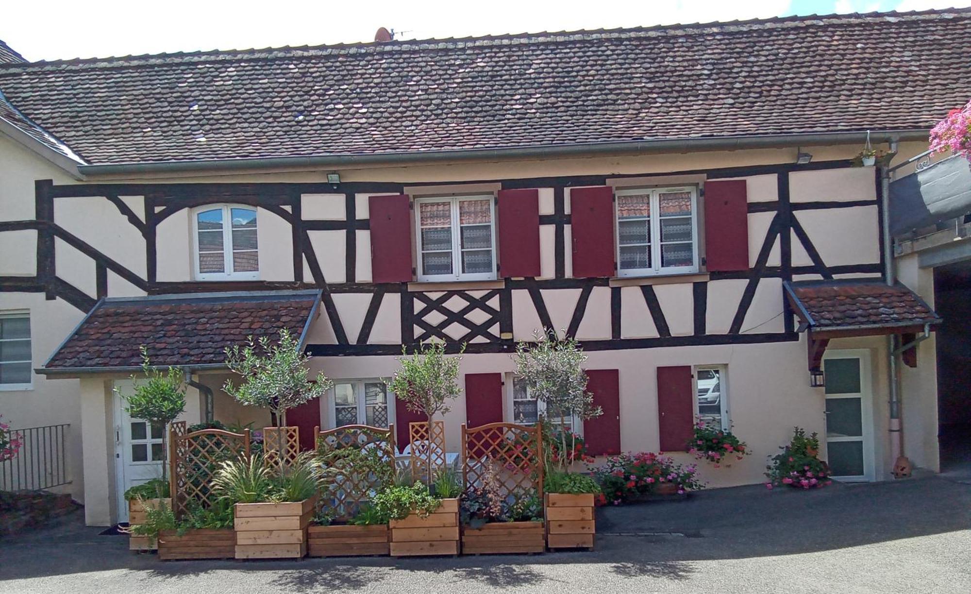 Le Repaire Des Hirondelles - Le Colombage Villa Scharrachbergheim-Irmstett Eksteriør bilde