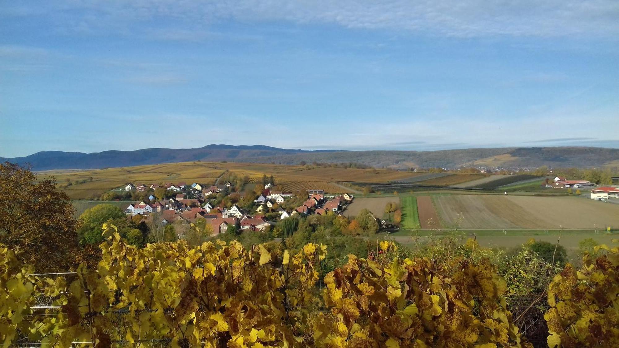 Le Repaire Des Hirondelles - Le Colombage Villa Scharrachbergheim-Irmstett Eksteriør bilde
