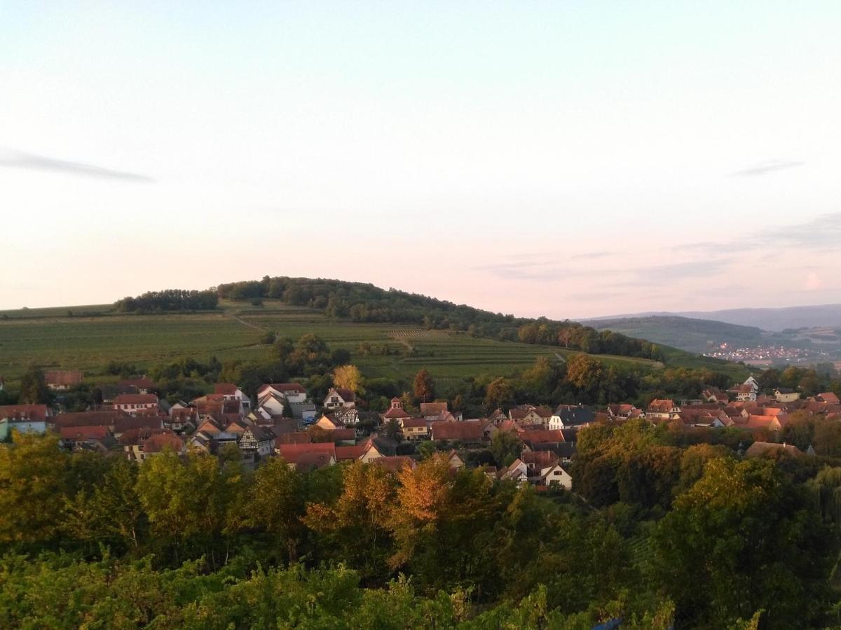 Le Repaire Des Hirondelles - Le Colombage Villa Scharrachbergheim-Irmstett Eksteriør bilde